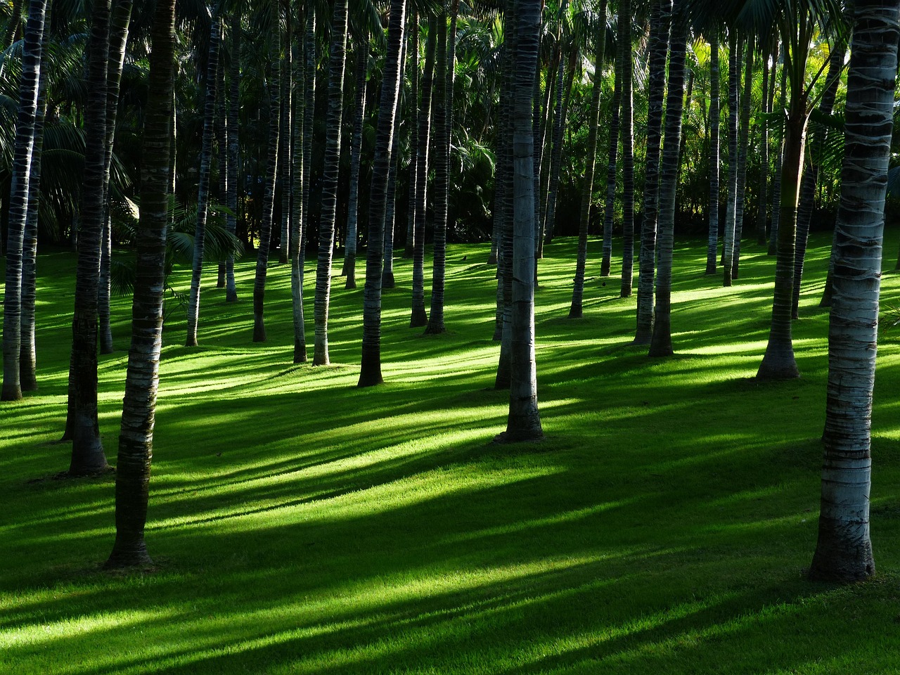 Tuinpicknick met herbruikbare borden en glazen.