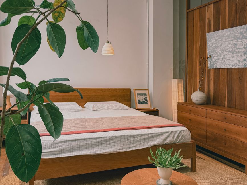 Planten in slaapkamer voor feng shui balans.