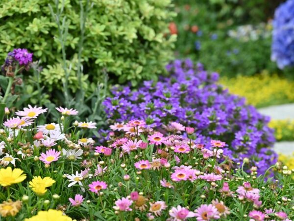 Water besparen met druppelirrigatiesystemen voor jouw tuin