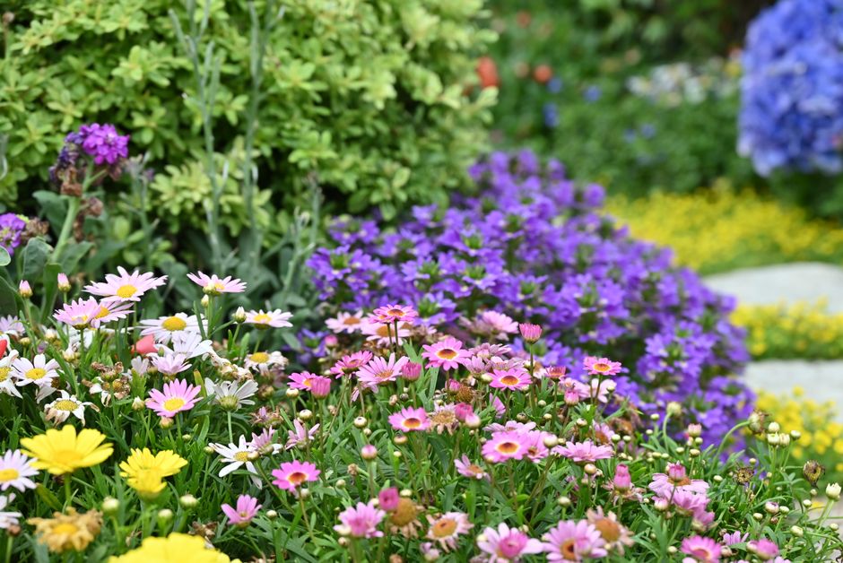 Water besparen met druppelirrigatiesystemen voor jouw tuin