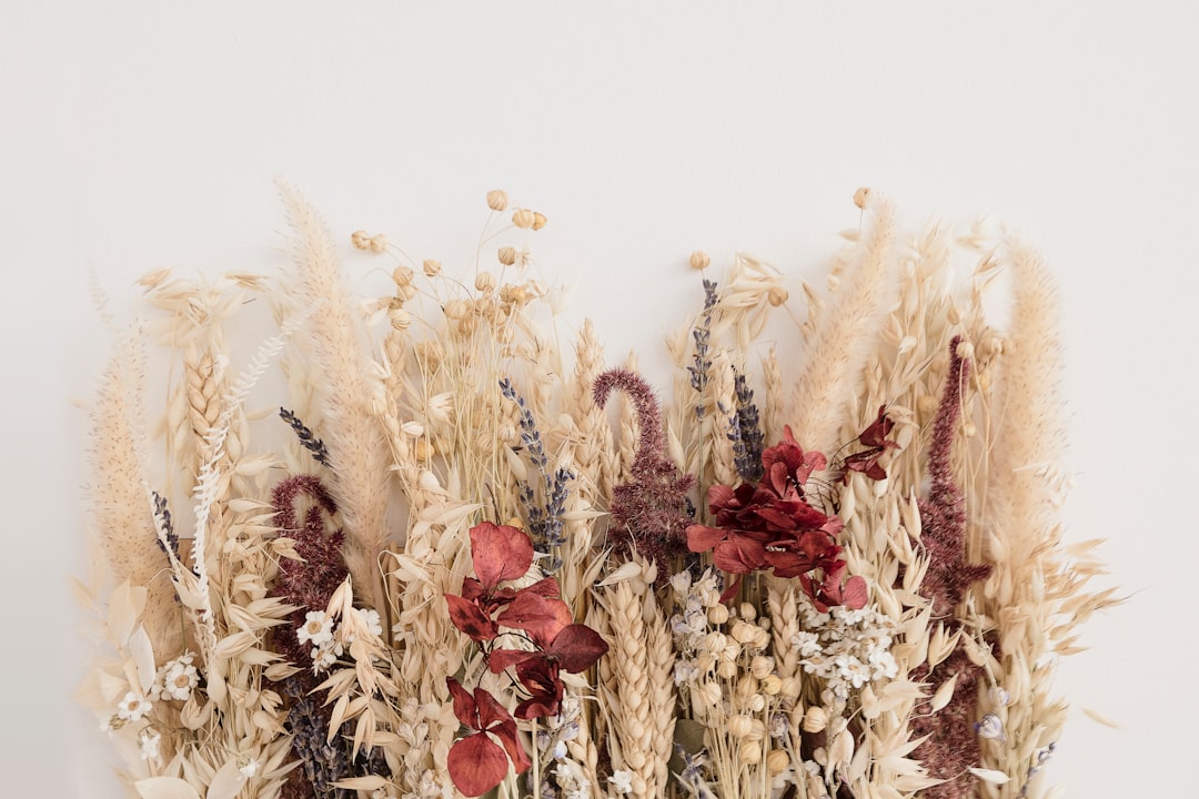Gedroogde bloemen aan de muur in eetkamer. Gedroogde bloemen aan de muur in eetkamer.