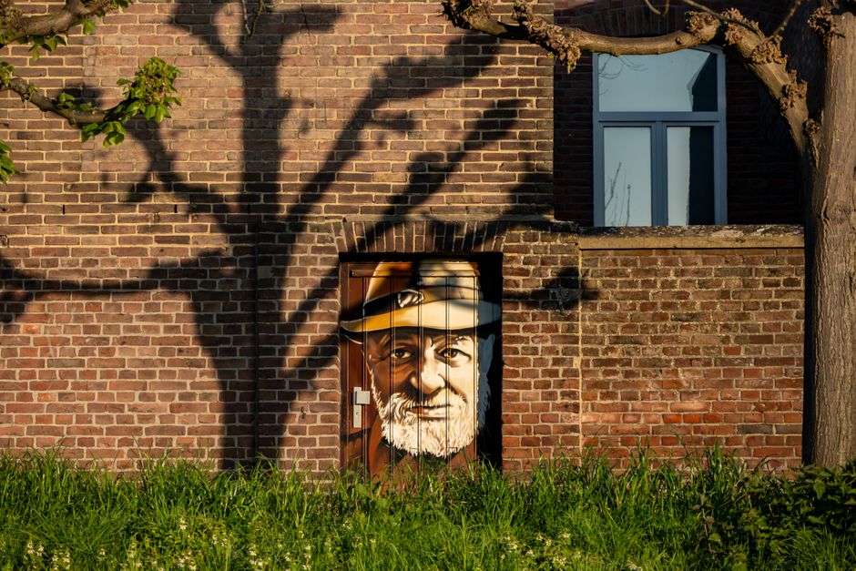 Kunstzinnige pinguïnen met levendige landschappen. Kunstzinnige pinguïnen met levendige landschappen.