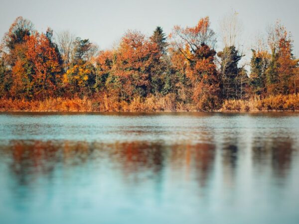 Herfstkleurige glasschilderijen voor een warme badkamer