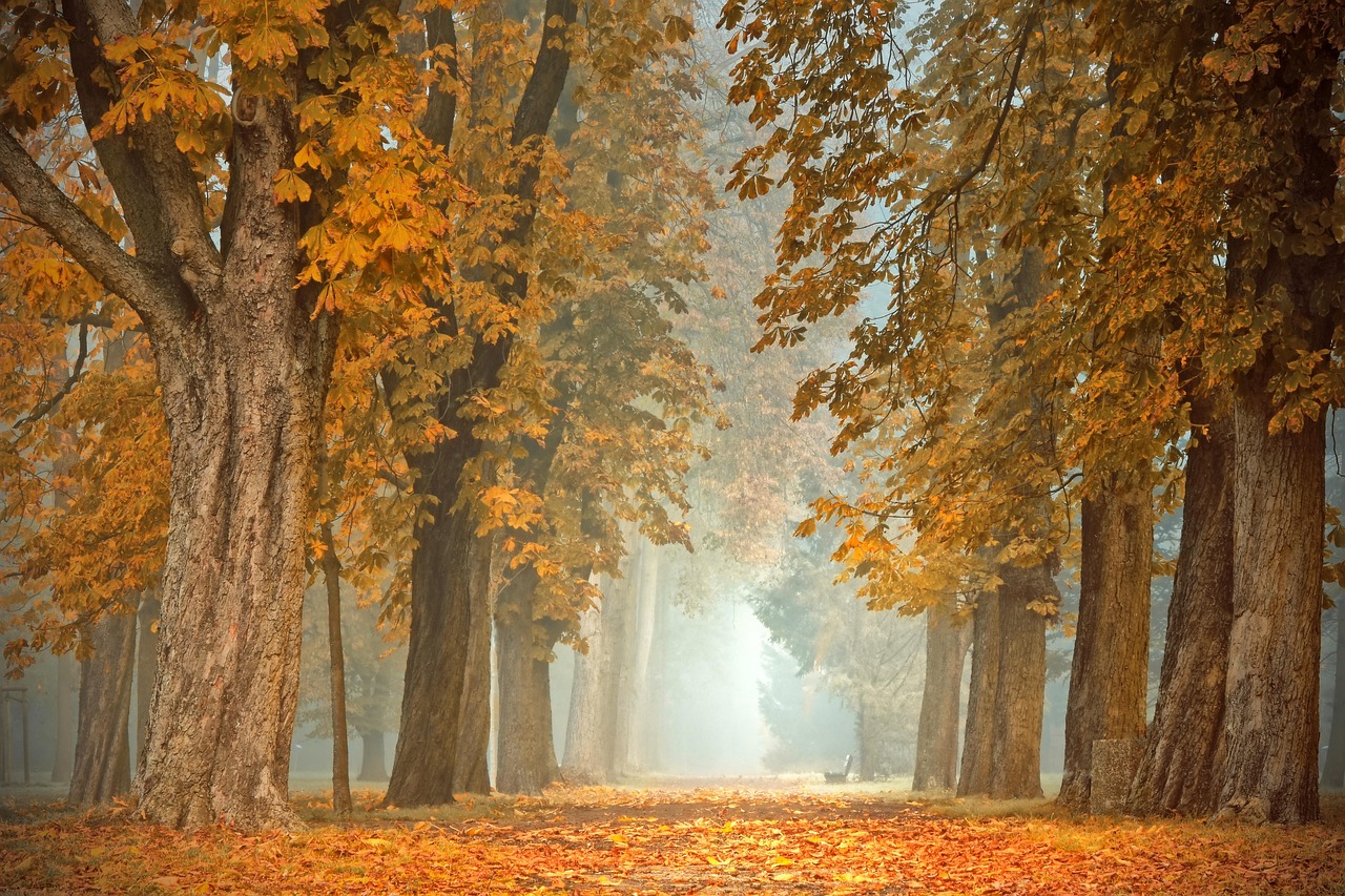 Vintage kastje met herfstbladeren decoratie.