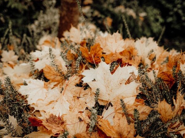 Herfstproof upcycling: oude meubels een nieuw leven geven