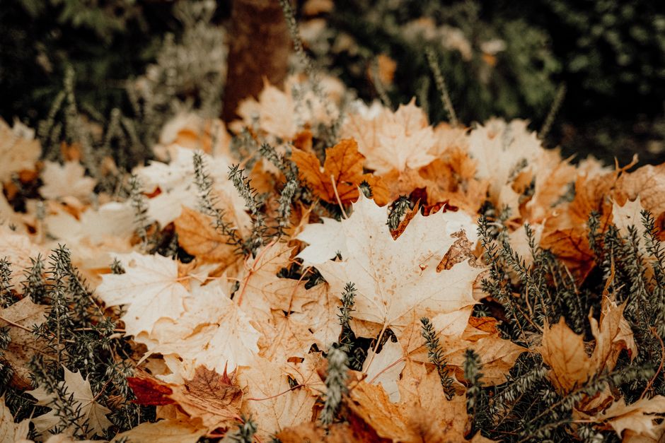 Herfstproof upcycling: oude meubels een nieuw leven geven